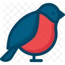 Bullfinch Bird Icon