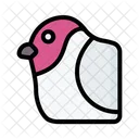 Bullfinch  Icon