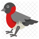 Bullfinch Bird Animal Icon