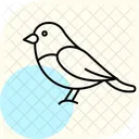 Bullfinch Bird Red Icon