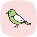 Bullfinch Bird Red Icon