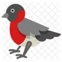 Bullfinch  Icon