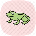 Bullfrog Amphibian Slimy Icon