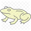 Bullfrog  Icon