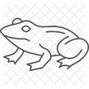 Bullfrog Amphibian Slimy Icon