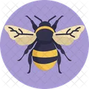 Bumblebee Insect Insects Icon