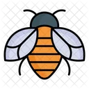 Honey Bee Bee Honeybee Icon