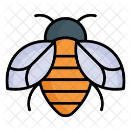 Bumblebee  Icon