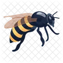 Bumblebee  Icon