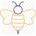 Bumblebee Bee Buzz Icon