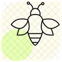 Bumblebee Cartoon Bee Insect Icon
