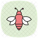 Bumblebee Insect Pollinator Icon