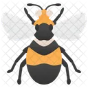 Bumblebee  Icône