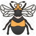 Bumblebee  Icône