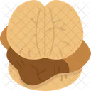 Bun  Icon