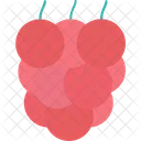 Bunch Of Grapes Food Fruit Icon