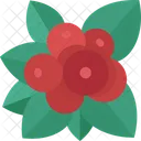 Bunchberry  Icon