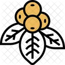 Bunchberry Berries  Icon