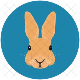 Bunny  Icon