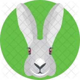 Bunny  Icon