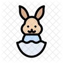 Bunny Rabbit Animal Icon