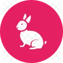 Bunny Rabbit Easter Icon