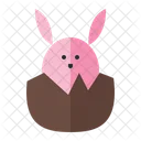 Bunny Rabbit Crack Icon