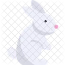 Bunny Animal Rabbit Icon