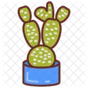 Bunny Ear Cactus Cactus Plant Spiny Cactus Icon