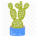 Bunny Ear Cactus Cactus Plant Spiny Cactus Icon
