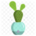 Bunny Ear Cactus Cactus Pot Cactus Plant Icon