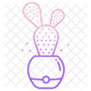Bunny Ear Cactus Cactus Pot Cactus Plant Icon