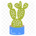 Bunny ear cactus  Icon