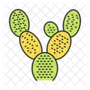 Bunny Ears Cactus  Icon