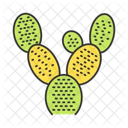 Bunny Ears Cactus  Icon