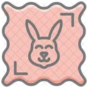 Bunny Frame  아이콘