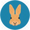 Bunny Cute Hare Icon