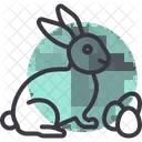 Bunny  Icon