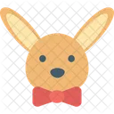 Bunny  Icon