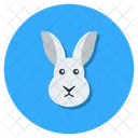 Bunny  Icon
