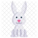 Bunny  Icon