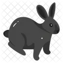 Bunny  Icon