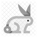 Bunny  Icon