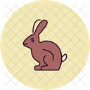 Bunny  Icon