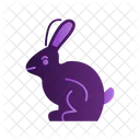 Bunny  Icon