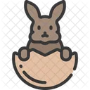 Bunny In Egg Icon