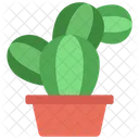 Bunny Plant  Icon