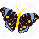 Schmetterling Insekt Flugel Symbol