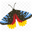 Schmetterling Insekt Flugel Symbol