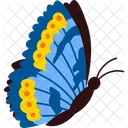 Schmetterling Insekt Flugel Symbol